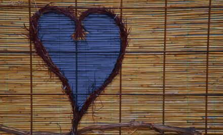 Bamboo in the storm – building resilience day by day
